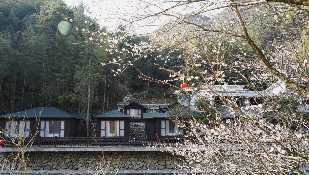 「紅綠」融合以旅興農  皖歙縣獅石打造高山旅居目的地