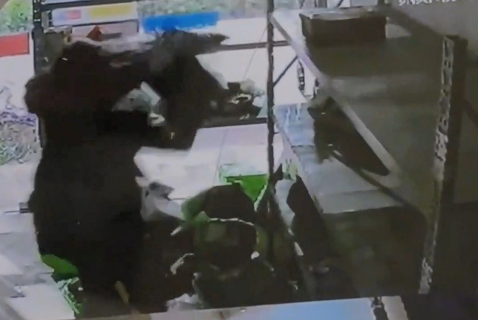 有片〡旺角大角咀兩自提點遭爆竊 警拘越南漢涉偷22件貨