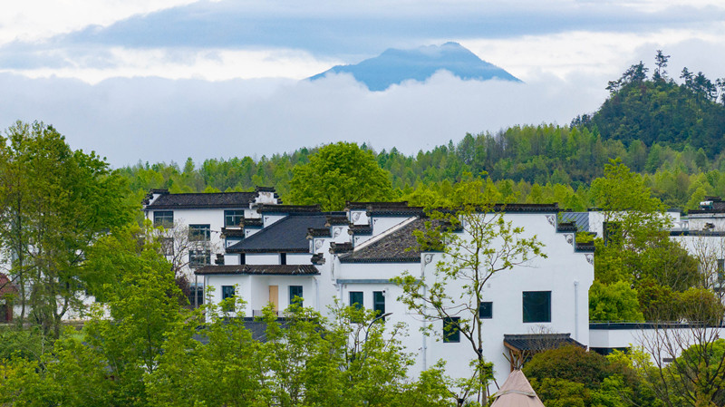 「柒」待已久 美好發生：黃山旅遊雲亼七周年上新夏日旅居新體驗