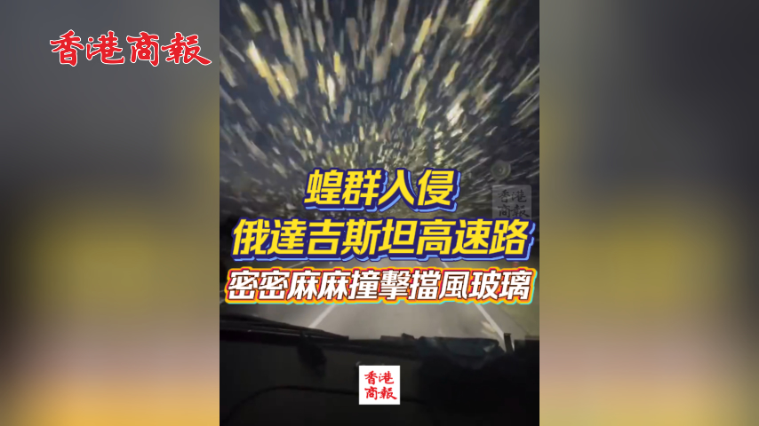 有片丨蝗群入侵俄達吉斯坦高速路：密密麻麻撞擊擋風玻璃 能見度極低