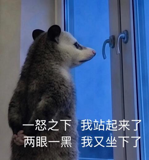 別等熬到關節置換！深圳二院建成一體化保髖診療體系，幫年輕人留住原生髖