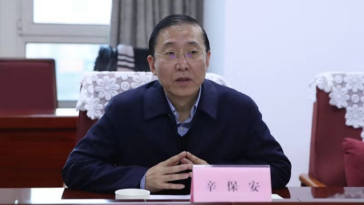 國家電網有限公司董事長辛保安接受調查