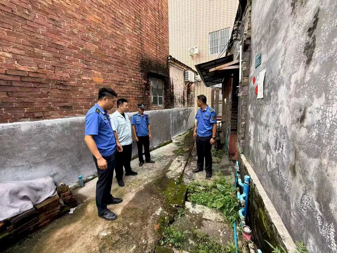老黨員帶頭+全民接力   東莞厚街全域打響蟲媒防控「健康保衛戰」