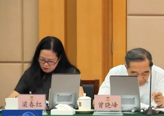 湛江海味粽守非遺根脈 科技賦能傳遞廣東祝福