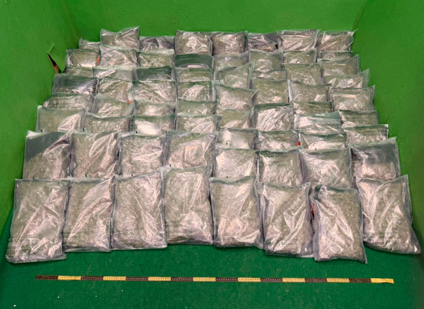 機場檢680萬元大麻花 美國籍男旅客被捕