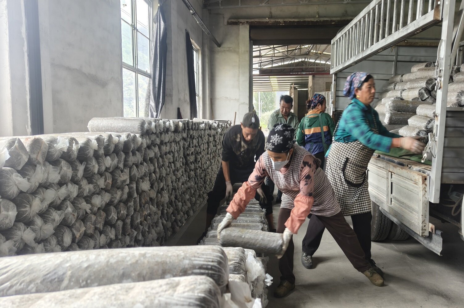 聚焦制約瓶頸 什邡援建凍庫賦能喜得花菇產業發展新動力