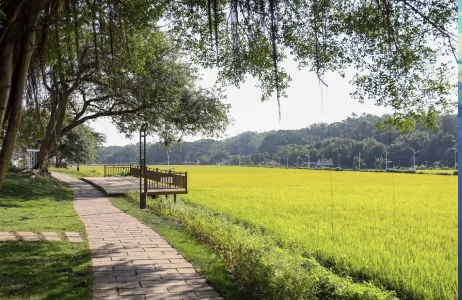 中山翠亨南朗文旅推薦官招募！8月7日山海之約啟幕