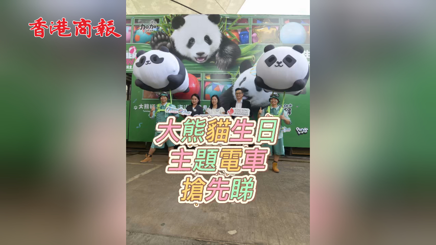 有片丨四輛大熊貓生日主題電車 今起港島巡遊