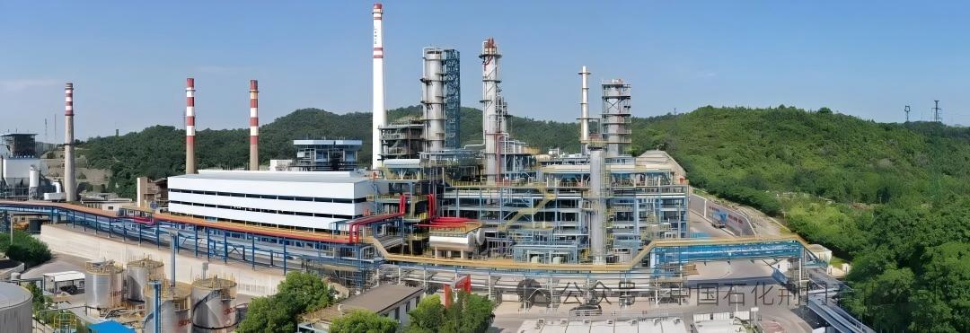 向新向優向未來！荊門多維發力推動老工業城市產業高質量躍遷