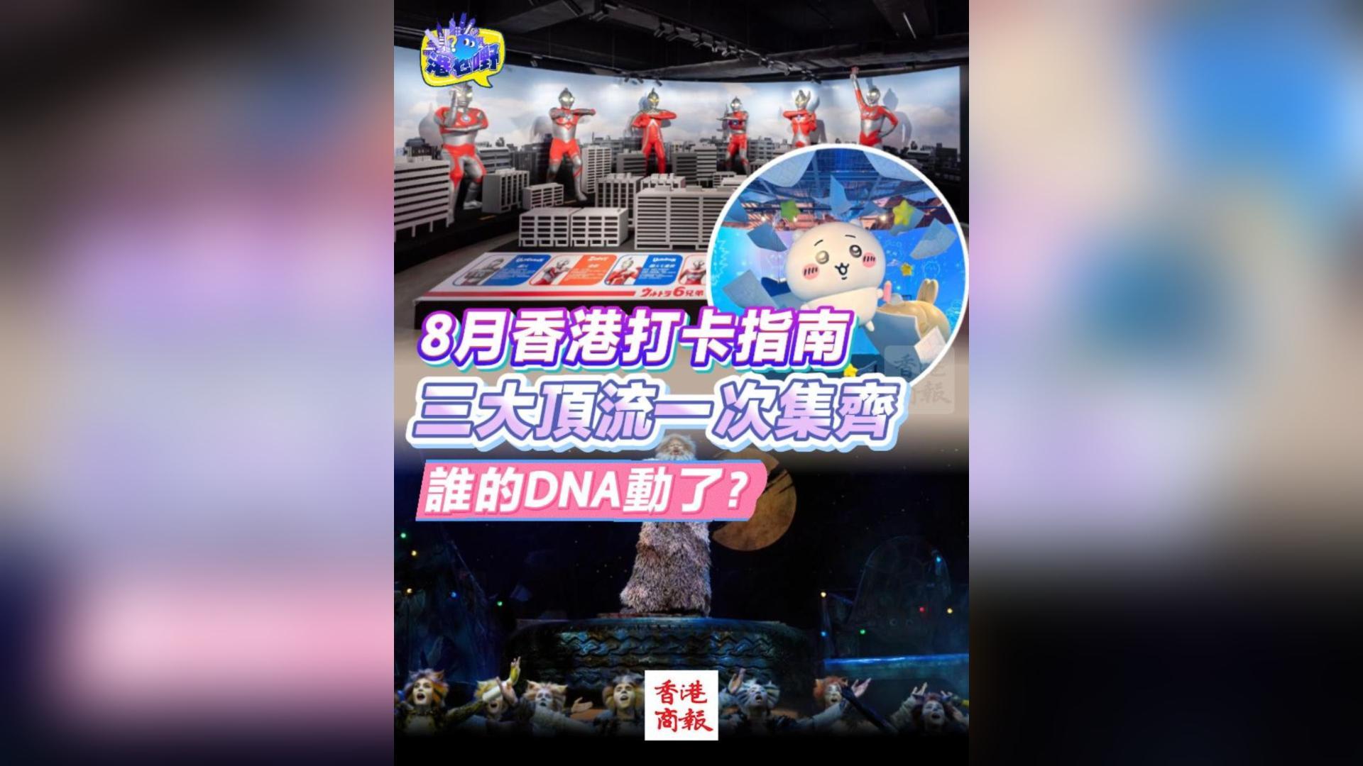 有片丨8月香港打卡指南 三大頂流一次集齊 誰的DNA動了？