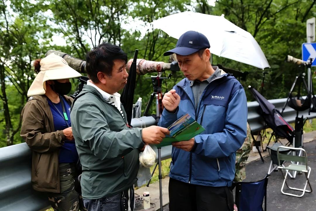 守護野生鳥類棲息環境!神農架觀鳥協會發布文明觀鳥倡議書