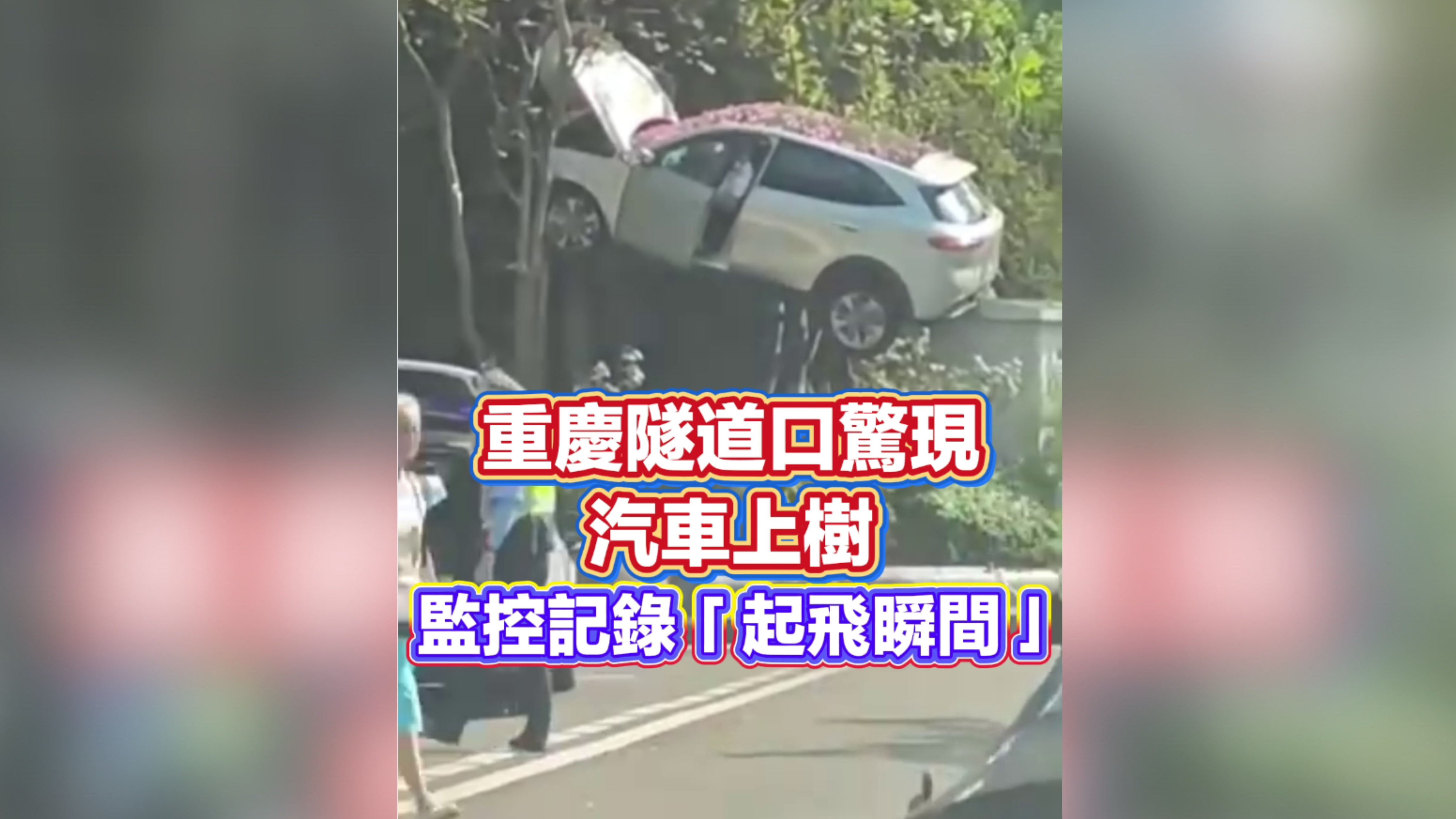 有片｜重慶一隧道口驚現飛車上樹 監控記錄「起飛瞬間」