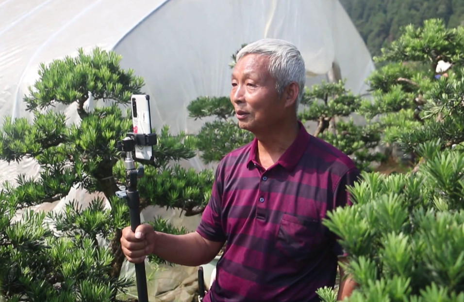 【港商觀察】徽派盆景發源地鄉村振興之典範  皖歙縣賣花漁村的「慢邏輯」