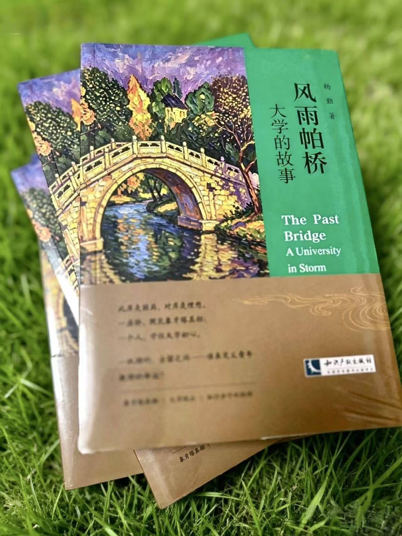 直面高校改革痛點，楊勤長篇小說《風雨帕橋——大學的故事》出版 