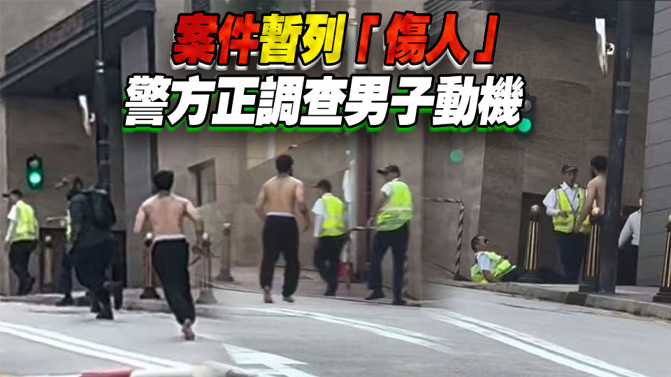 域多利道碧瑤灣男住客揮刀斬人 保安及外傭受傷
