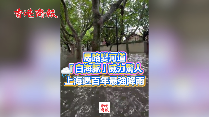 有片丨馬路變河道 「白海豚」威力驚人 上海遇百年最強降雨