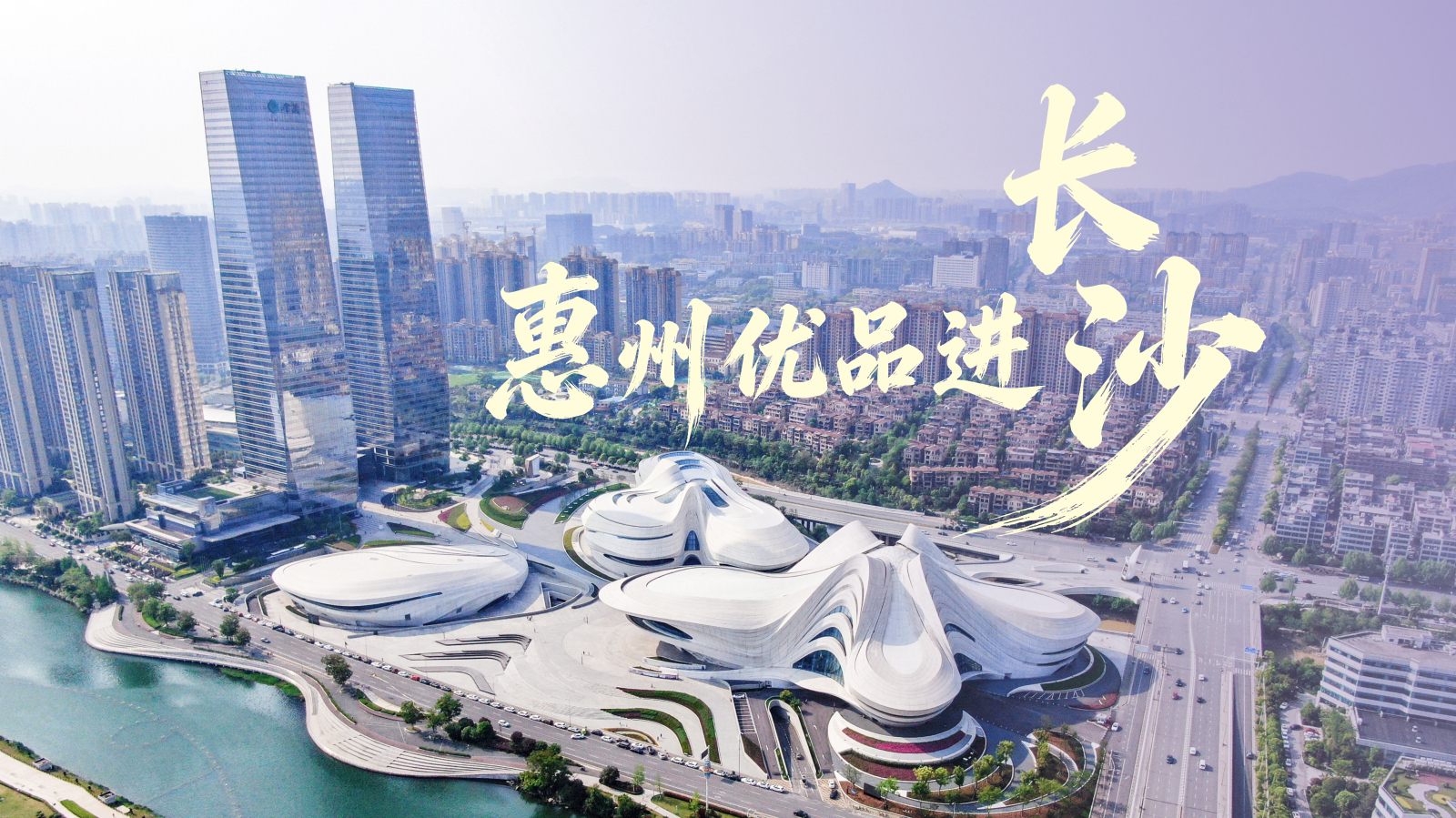 有片|【廣貨行天下】80家惠州名企攜四大品類尖貨組團亮相長沙