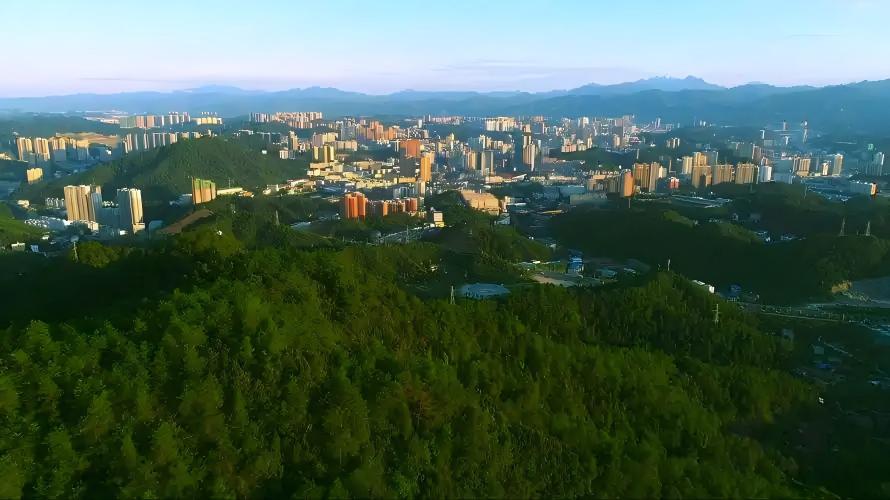 余珂在城區實地督導防颱風防汛防澇工作
