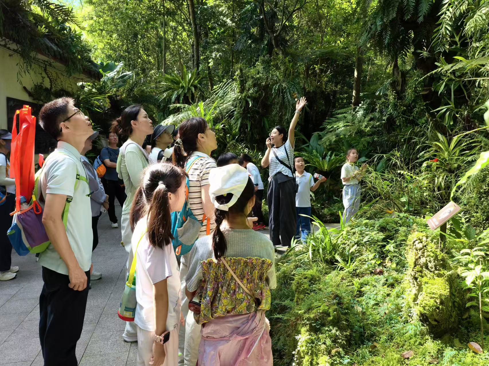 暑期研學熱度攀升，青少年緣何「鍾意」深圳仙湖植物園？