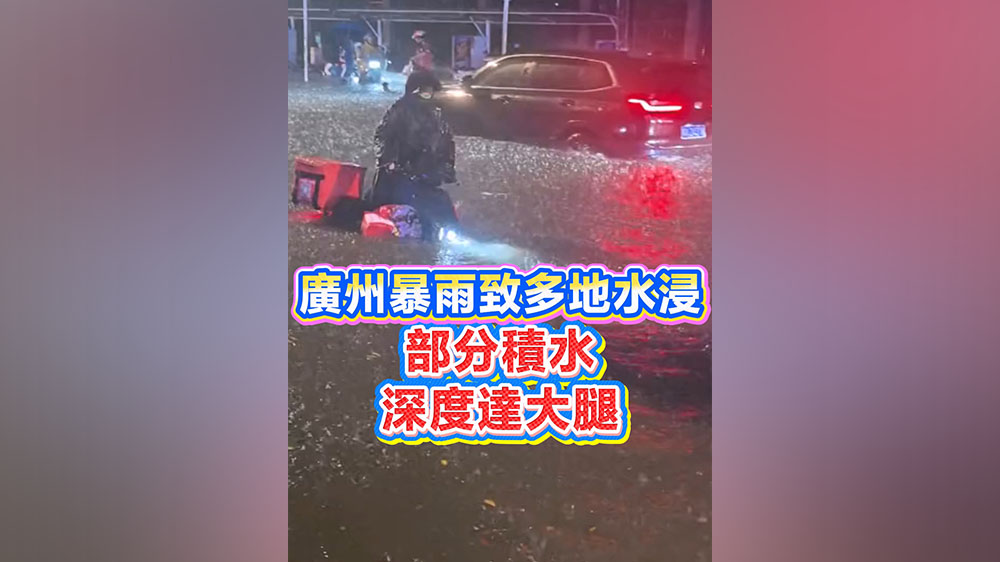 有片｜廣州暴雨致多地水浸 部分積水深度達大腿