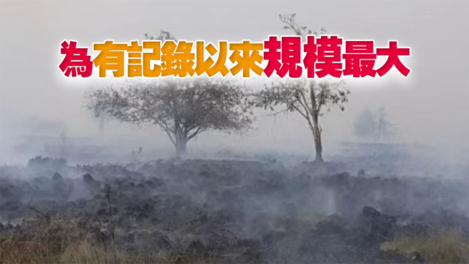 比利時發生大規模野火　數百居民被疏散