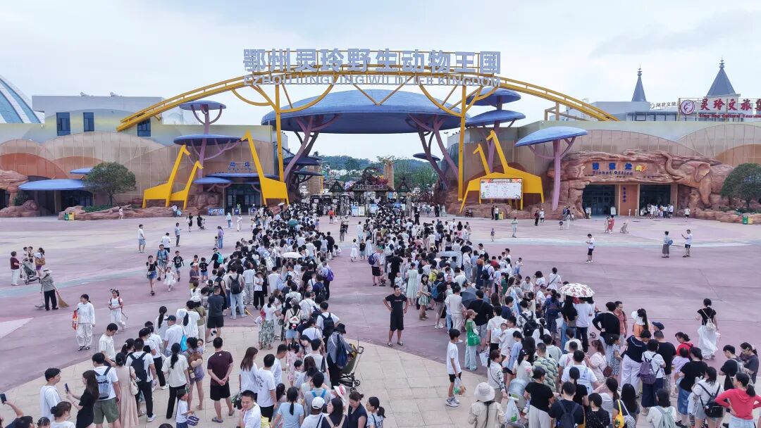 兩日接待遊客突破五萬人次 鄂州靈玲野生動物王國點燃暑期文旅消費熱潮
