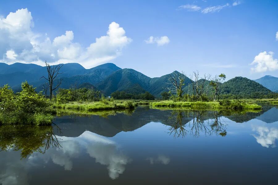 青山承載價值 綠水催生收益 神農架多路徑打通生態產品價值轉化通道
