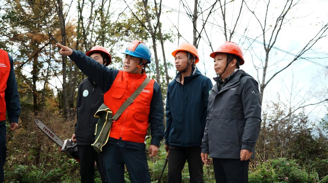 一山青綠萬千守護 神農架構建特色林業現代化治理體系