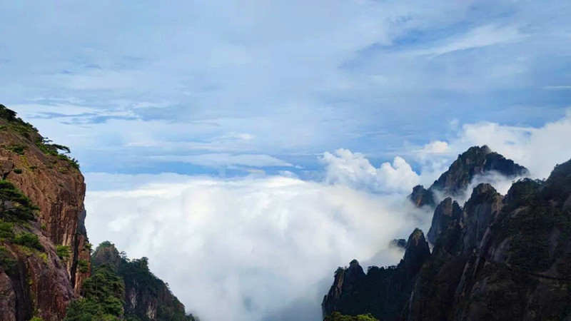 有片 | 來黃山，赴一場雲海之約