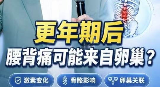 有片｜更年期後腰背痛可能來自卵巢 ？