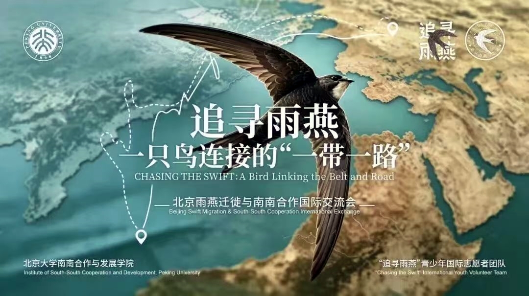「信使」雨燕聯結中非文明互鑒——北京視聽IP全球化塑造交出新答卷