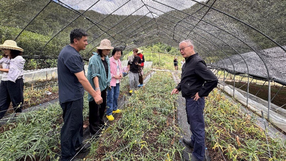 生物科技專家到雲南考察有機中藥材資源 充分證明品質優勢