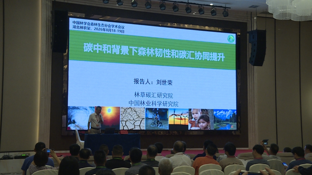 學術智慧賦能生態保護 森林生態高端學術研討會在神農架舉辦