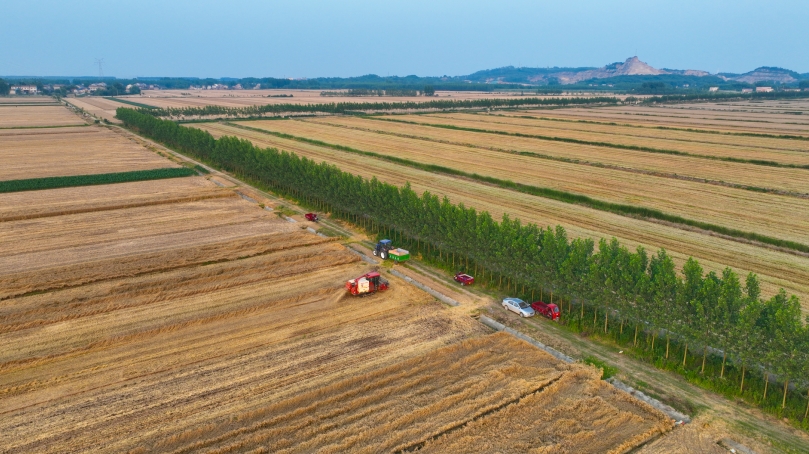 科技賦能強根基 鏈條延伸促振興｜解碼荊門農業高質量發展期中答卷