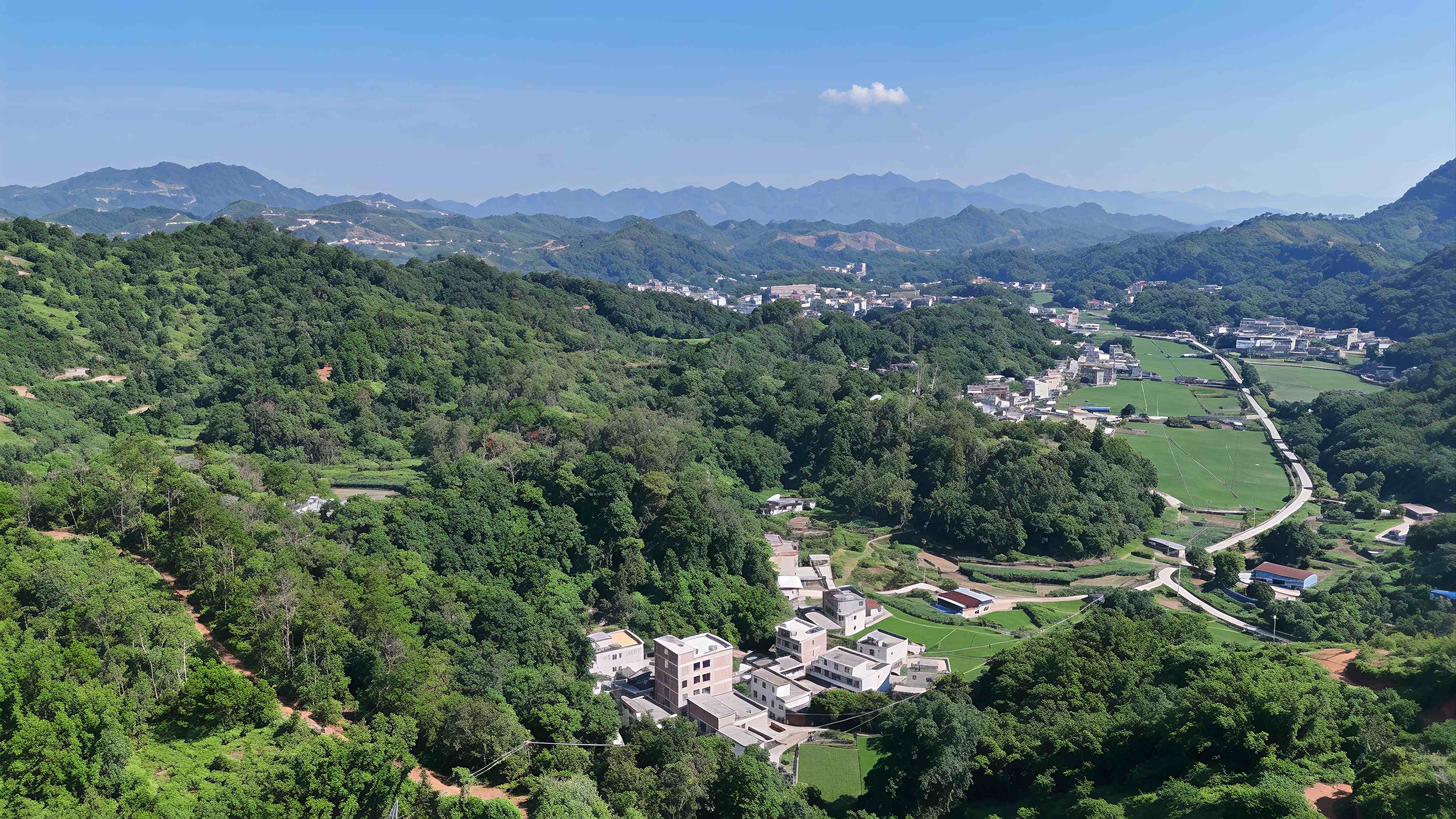 桂容縣：持續擦亮生態底色  走綠色發展之路