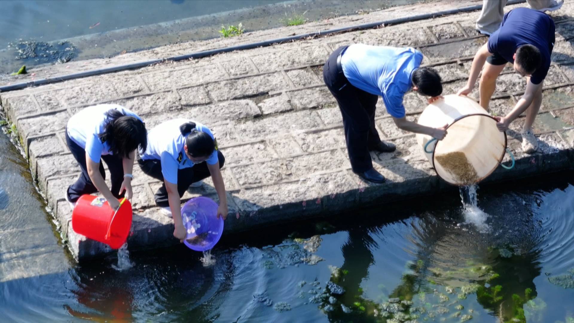 皖黟縣：增殖放流護生態