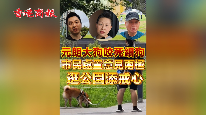 有片丨元朗大狗咬死細狗 市民處置意見兩極 逛公園添戒心