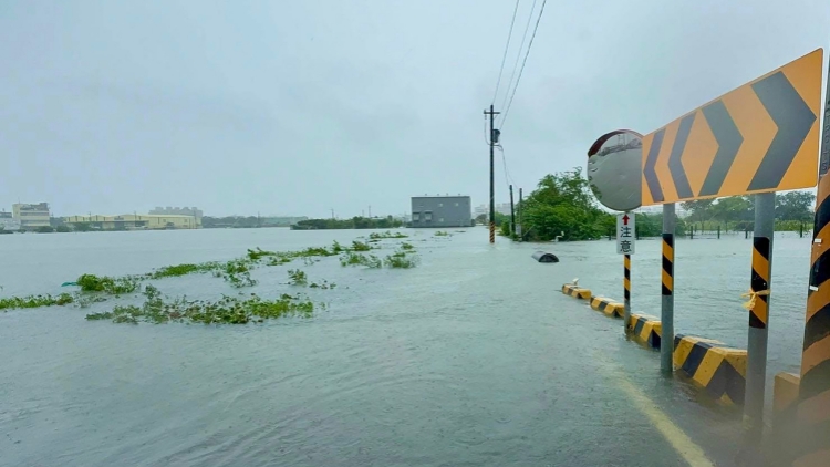台灣8月大雨 農業損失達600萬台幣