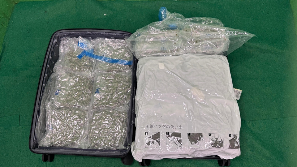 海關機場檢值820萬元大麻花 拘捕19歲英國男子