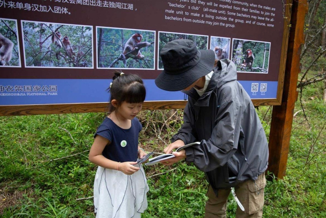 走進神農架密林 青年學子踐行護綠使命