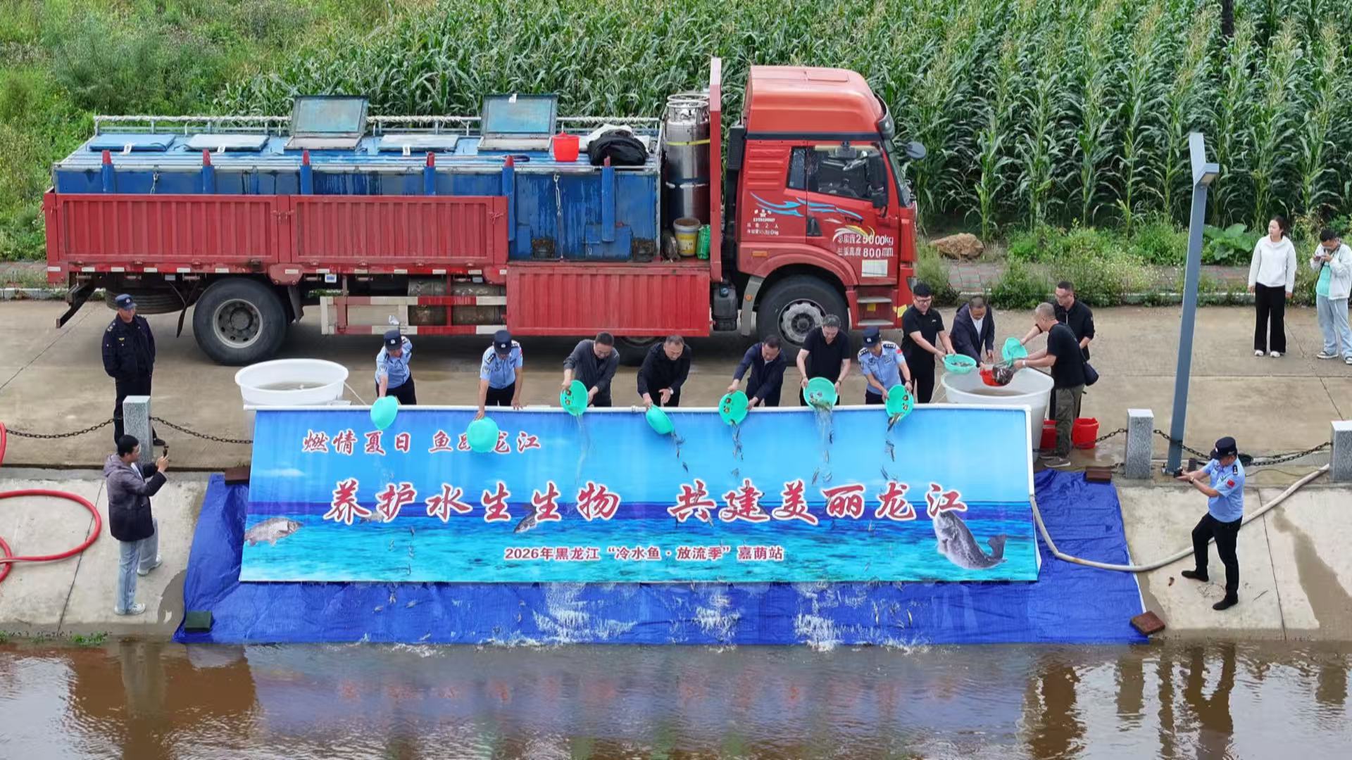 337萬尾魚苗放流黑龍江 嘉蔭持續築牢界江生態屏障