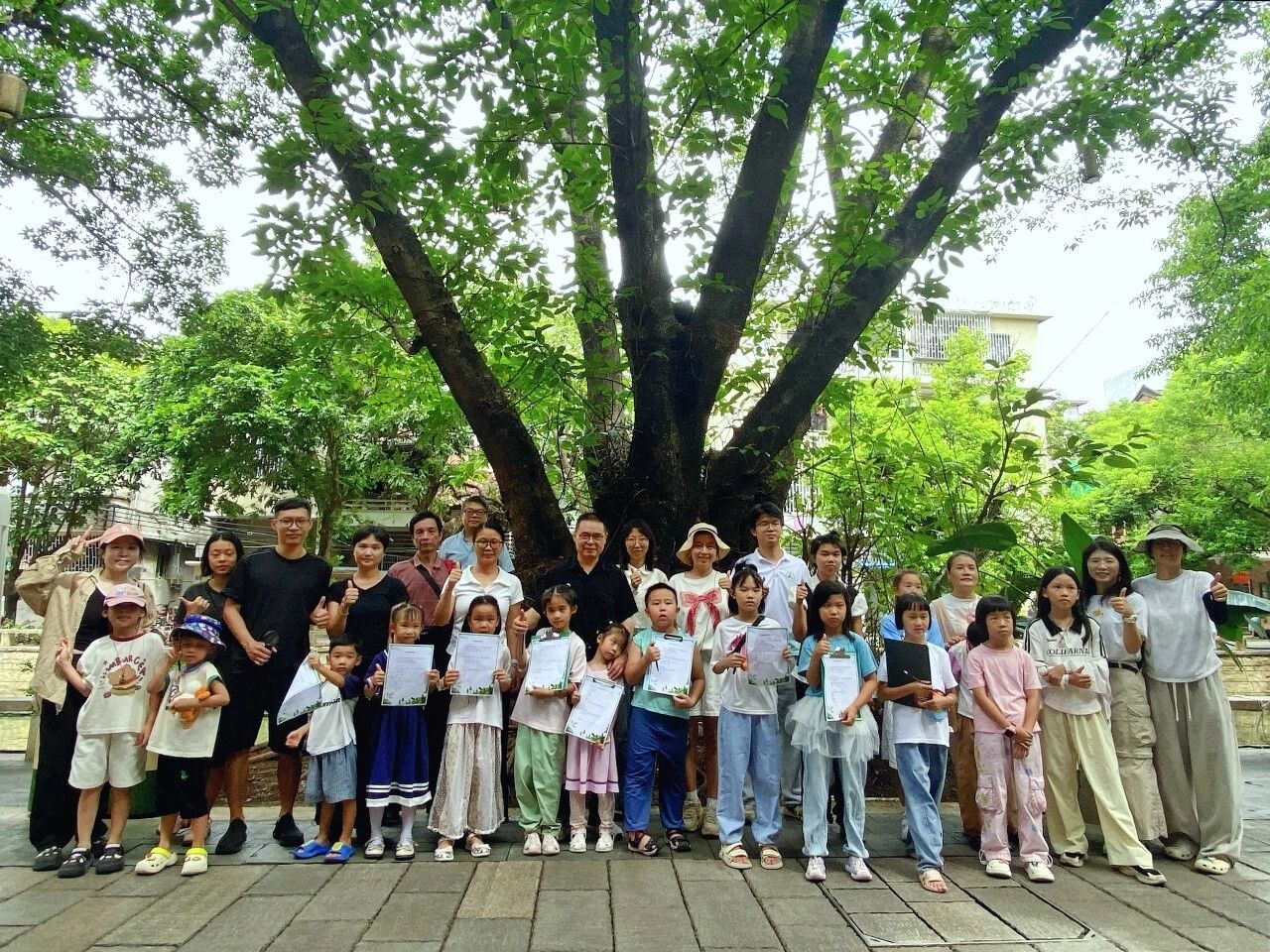 探訪騎樓老樹    東莞莞城研學游讓親子近距離感受自然探索