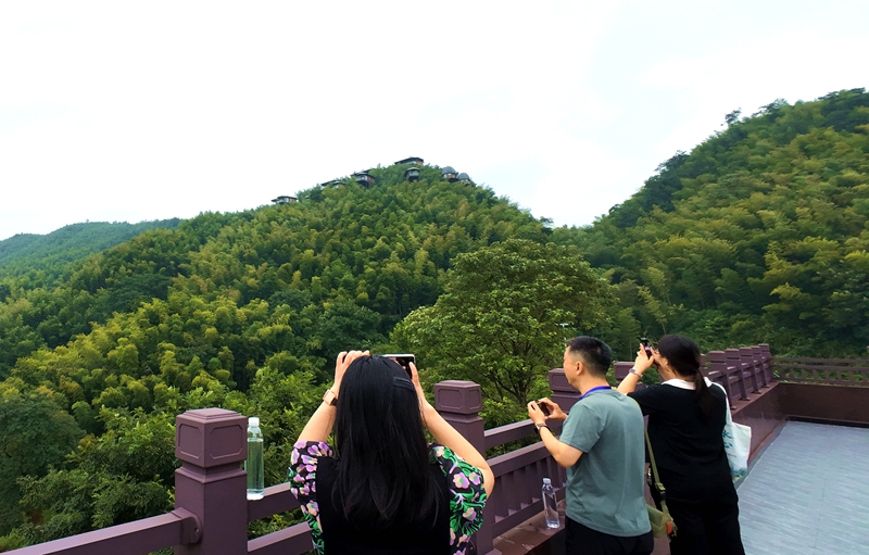 一竿翠竹蘊萬千商機 湖南桃江全力打造「中國竹業第一縣」