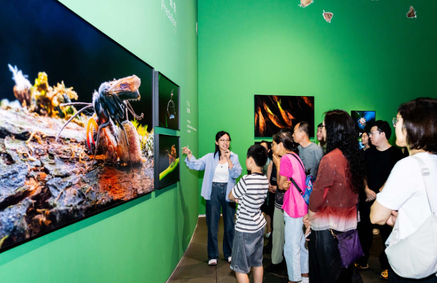 深圳新展｜微距鏡頭下的嶺南秘境 三百幅作品看見「小生命的大世界」