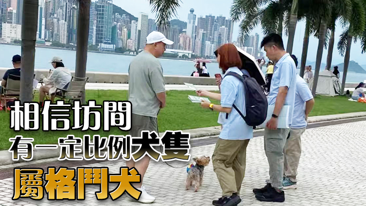 棄養狗隻個案增五成 議員倡追截走私狗隻源頭 