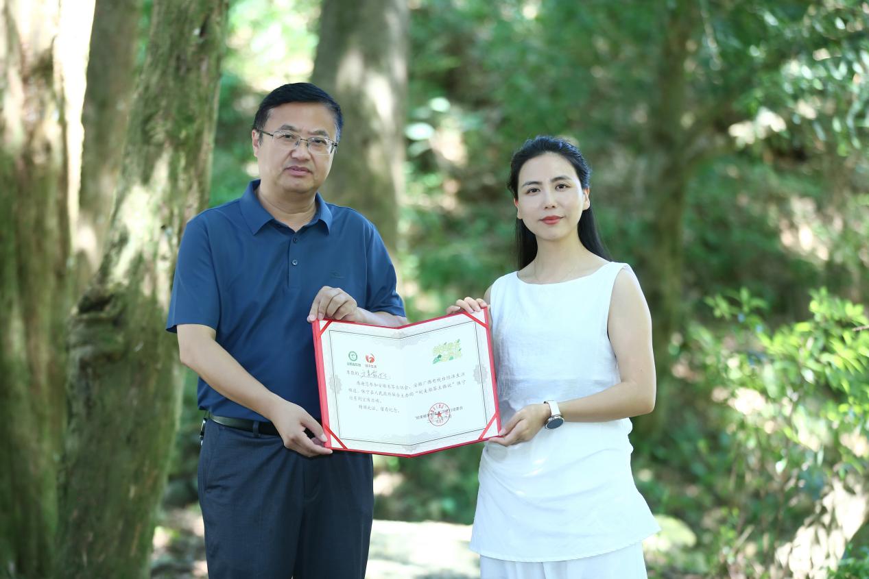 【皖美徽茶主播說·休寧行】尋味新安源 松蘿潤茶香