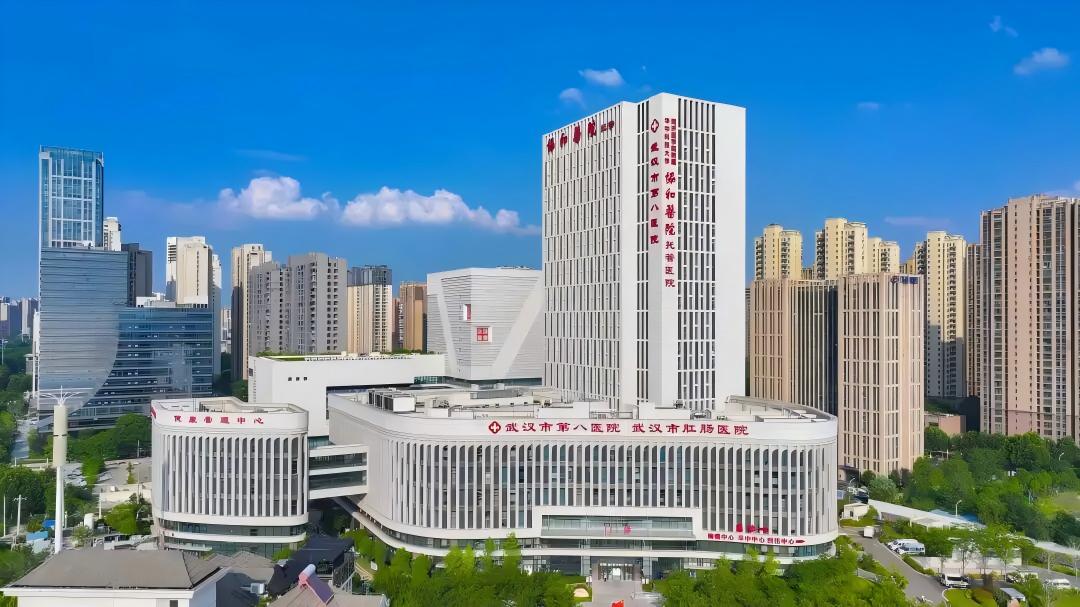 項目向前一寸，發展向前一步 江岸以重大項目牽引經濟提質增效