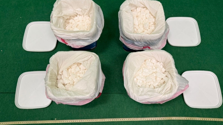 海關檢獲超過500萬元懷疑毒品
