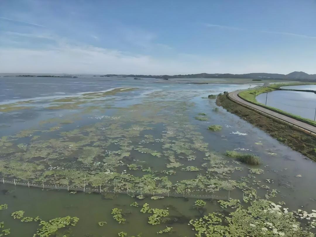 從水系連通到耕地修復 梁子湖流域以水土一體整治厚植綠色底色