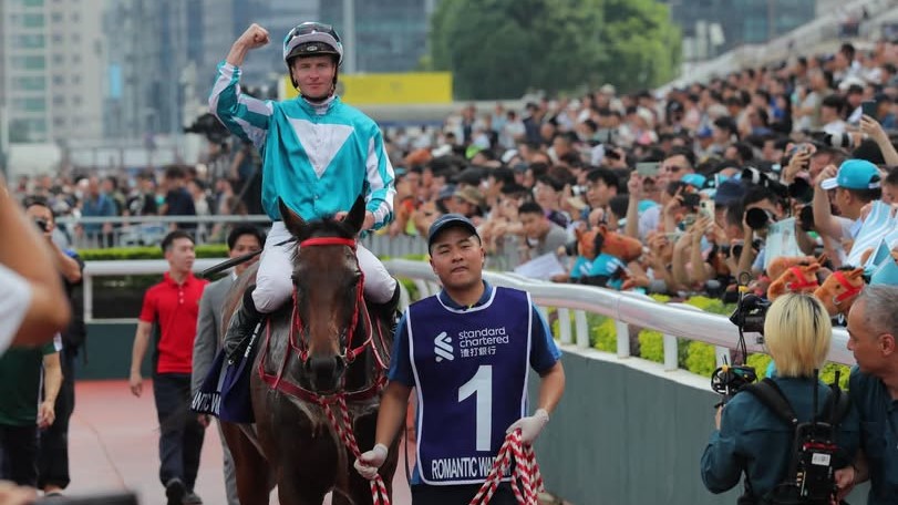 浪漫勇士因傷退役 馬會稍後時間舉行歡送儀式